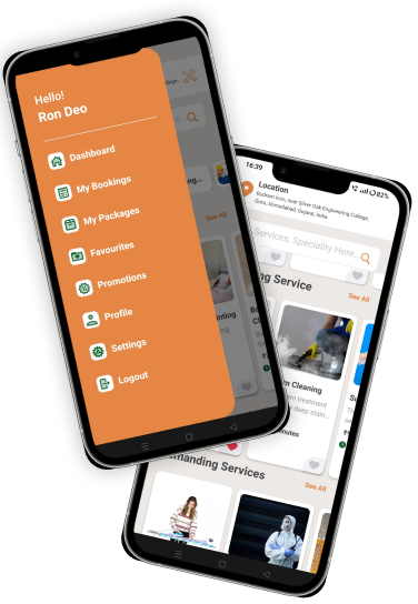 Mobile App Interface